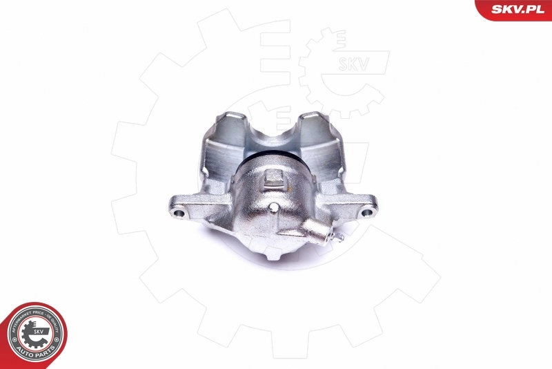 Brake Caliper 42SKV961