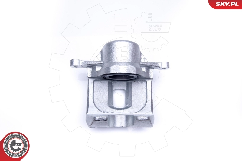ESEN SKV 45SKV171 Brake Caliper