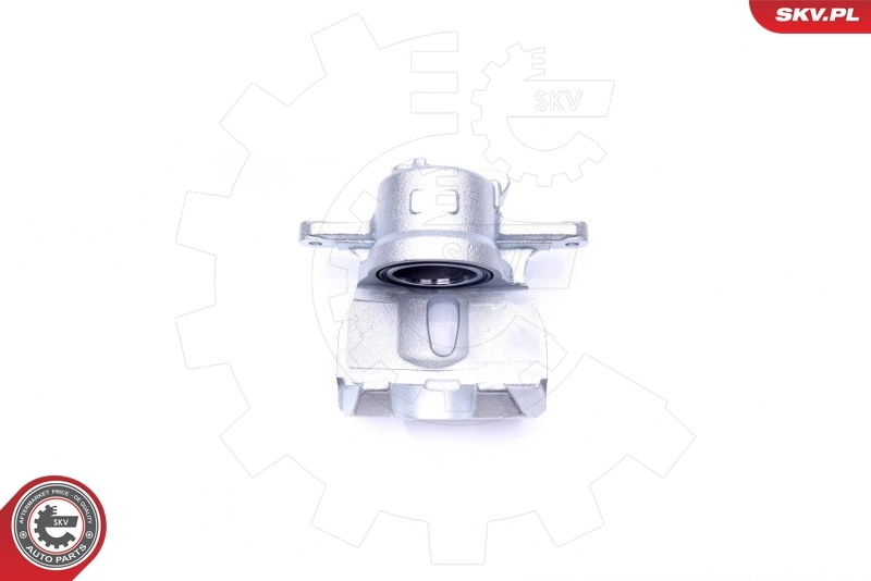 Brake Caliper 44SKV322