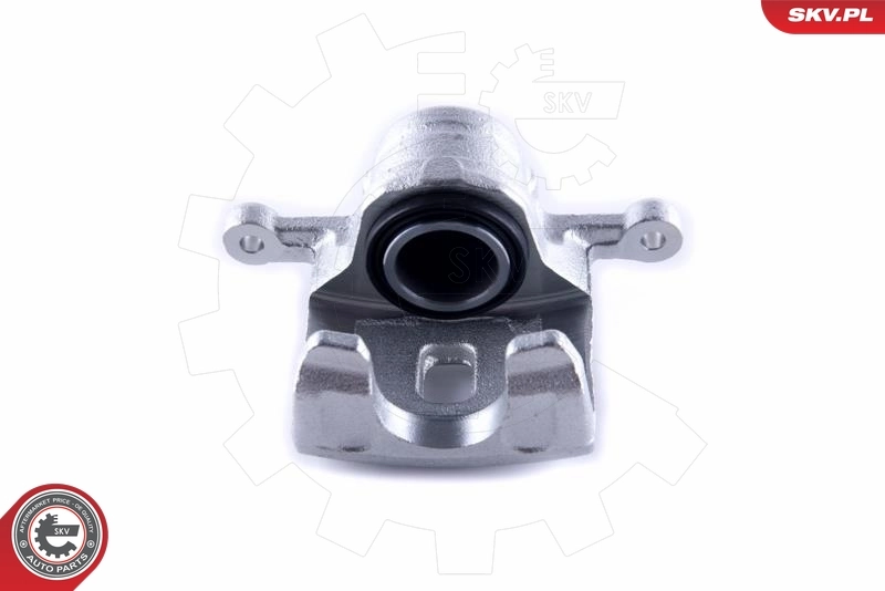 Brake Caliper 55SKV373