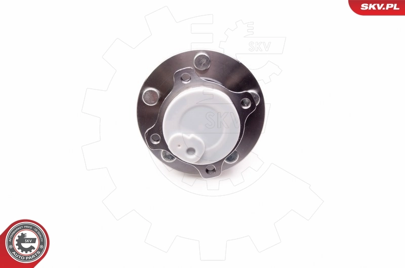 Wheel Bearing Kit 29SKV079