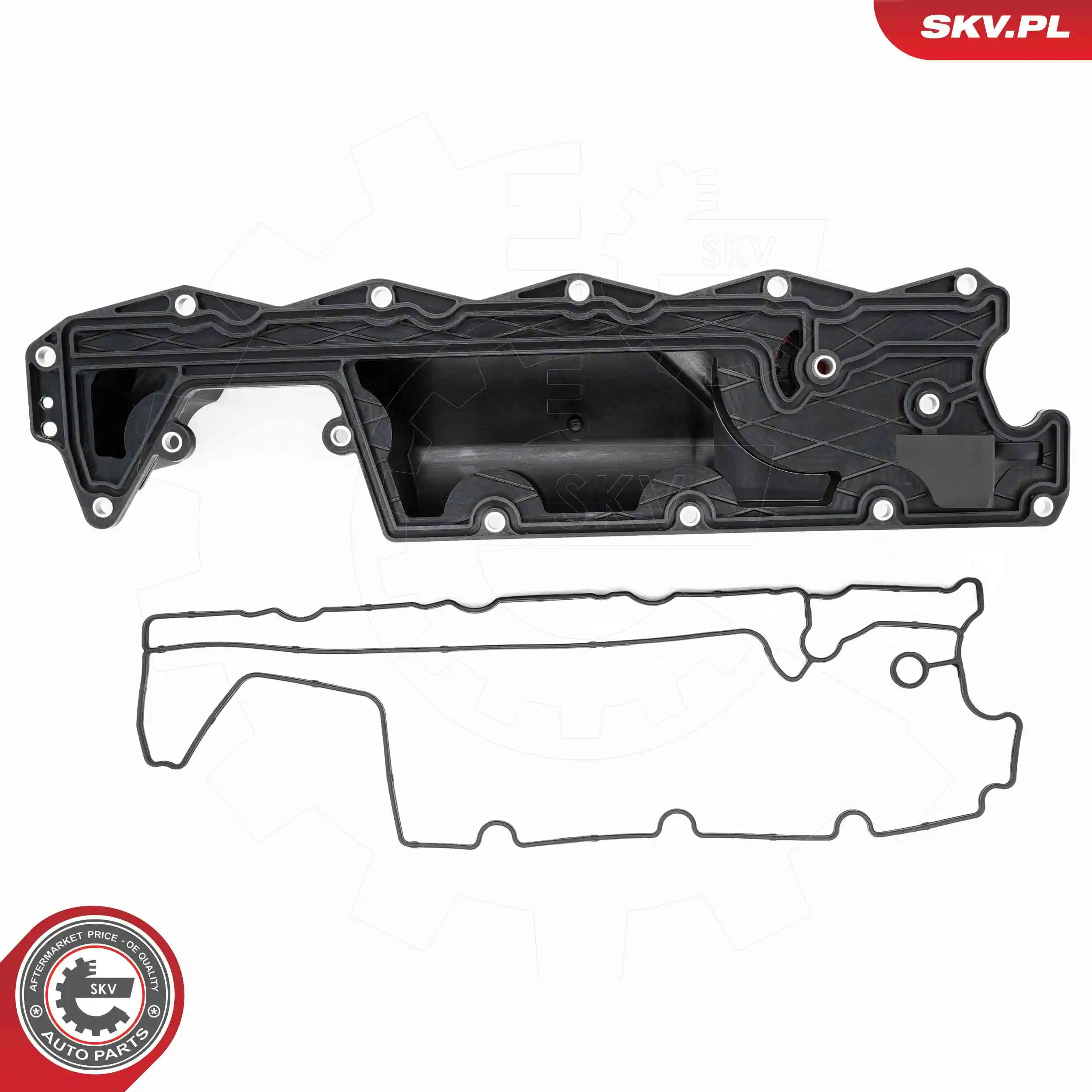 Cylinder Head Cover 48SKV117