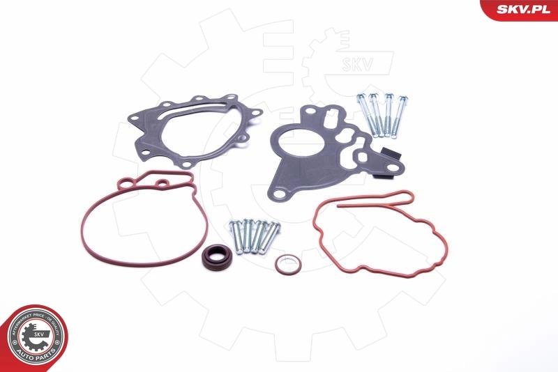 Repair Set, vacuum pump (braking system) 18SKV804