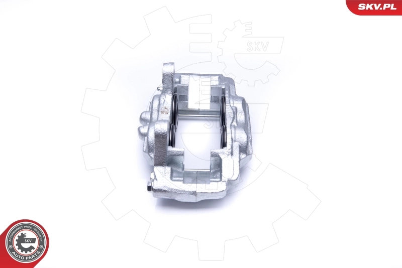 Brake Caliper 45SKV201