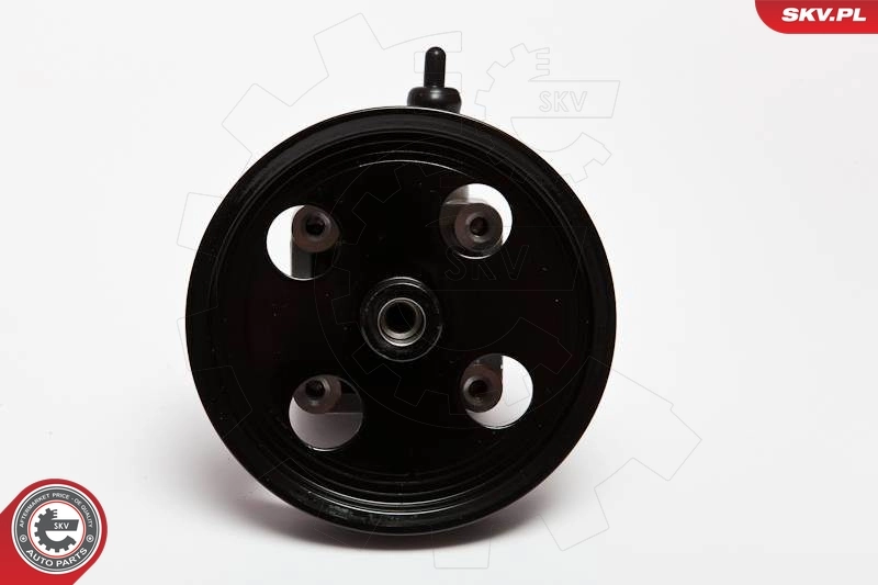 Hydraulic Pump, steering 10SKV092