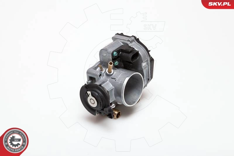 ESEN SKV 12SKV005 Throttle Body