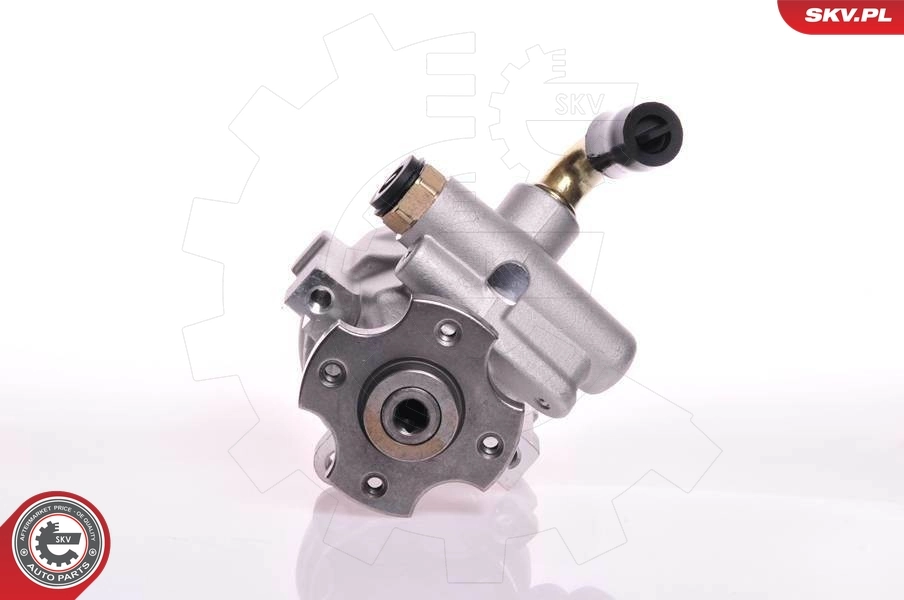 Hydraulic Pump, steering 10SKV133