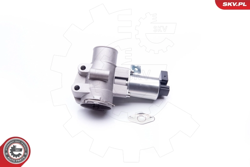 EGR Valve 14SKV186