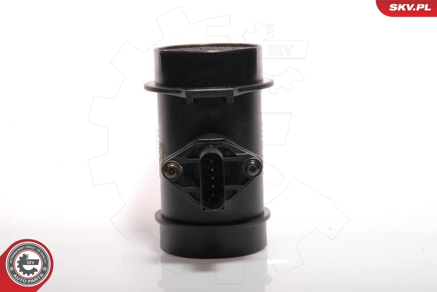 Mass Air Flow Sensor 07SKV018