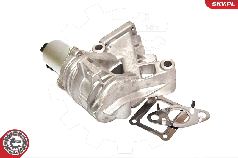 EGR Valve 14SKV036