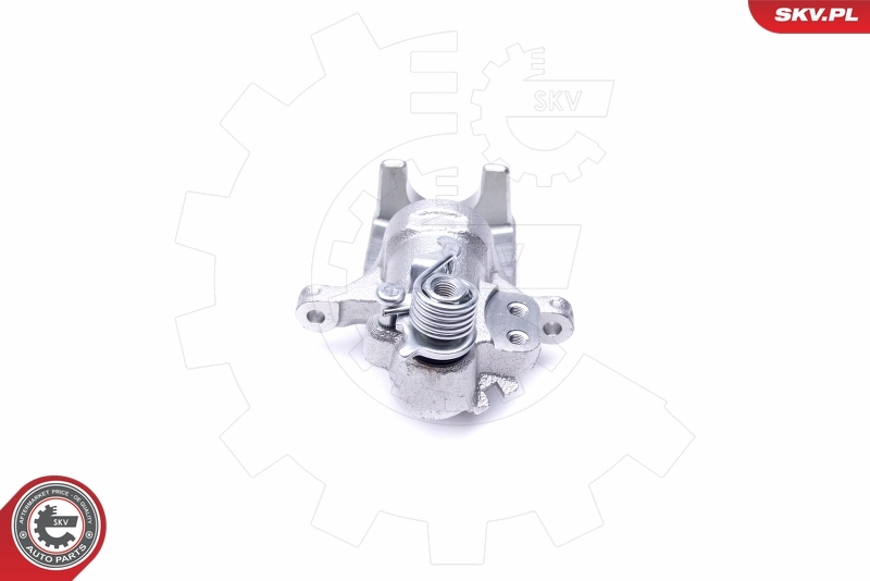 Brake Caliper 46SKV784
