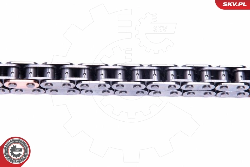 Timing Chain Kit 21SKV246