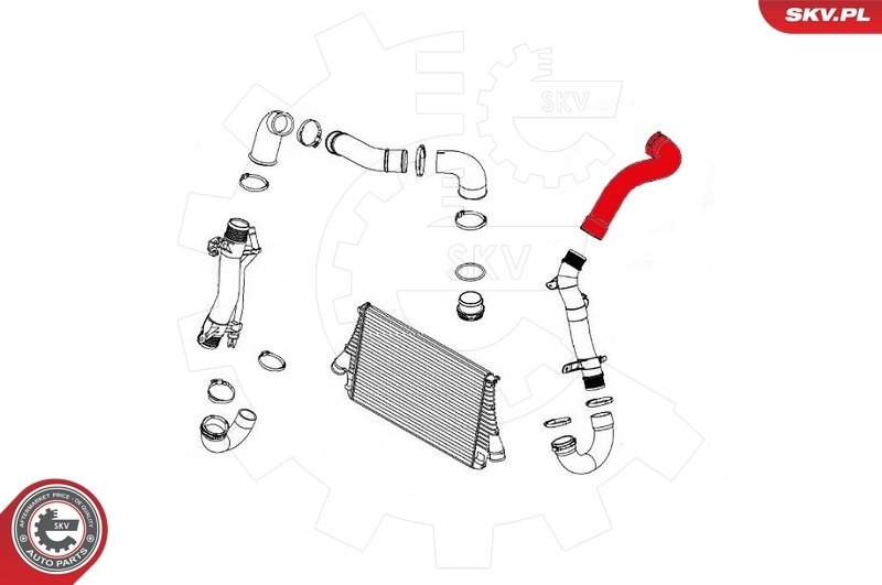 Charge Air Hose 24SKV678