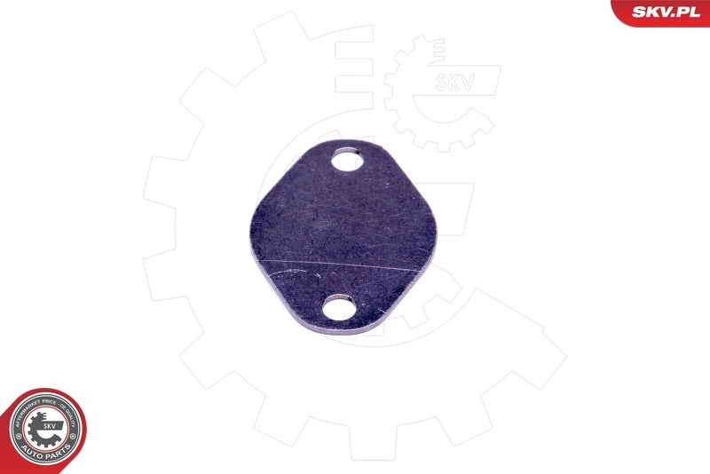 ESEN SKV 14SKV547 Repair Set, EGR valve