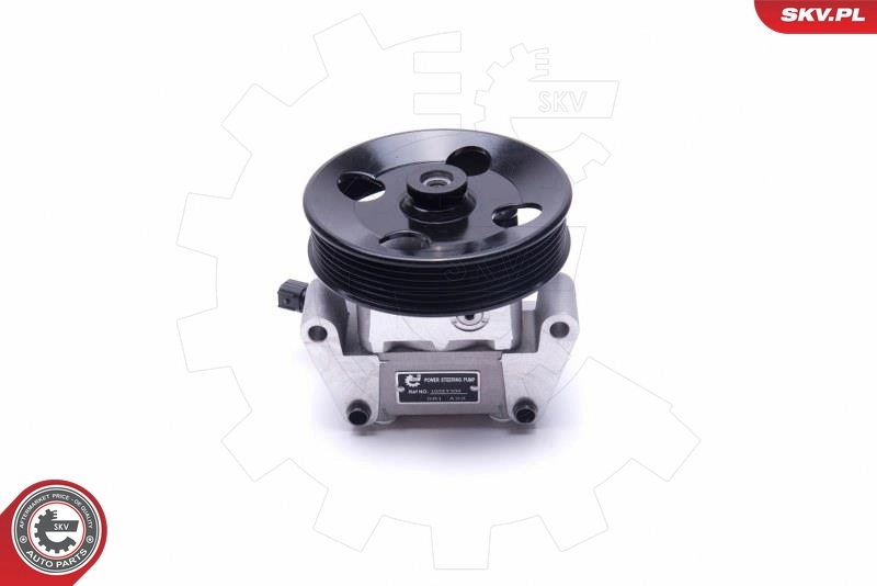 Hydraulic Pump, steering 10SKV306