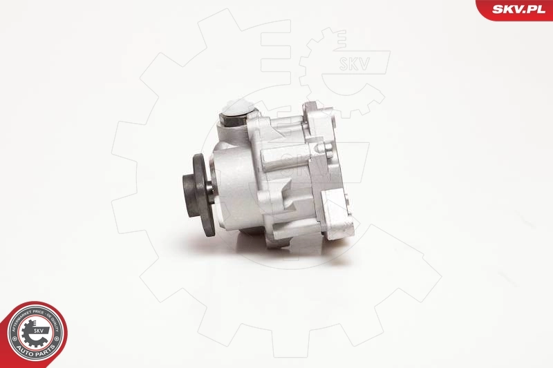 Hydraulic Pump, steering 10SKV124