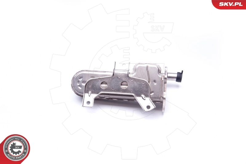 Cooler, exhaust gas recirculation 14SKV161