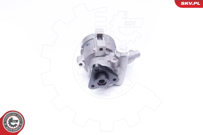 Hydraulic Pump, steering 10SKV252