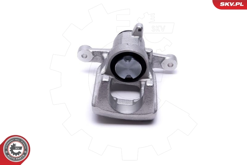 Brake Caliper 44SKV484