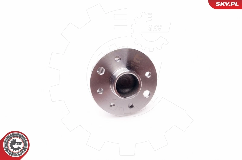 Wheel Bearing Kit 29SKV056