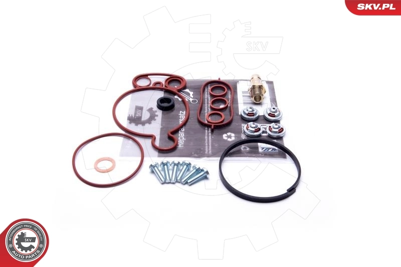 Repair Set, vacuum pump (braking system) 18SKV805