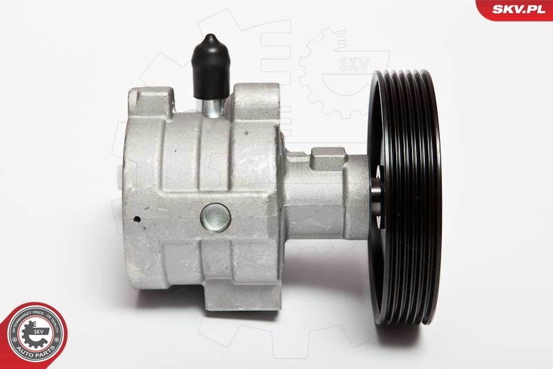 Hydraulic Pump, steering 10SKV068