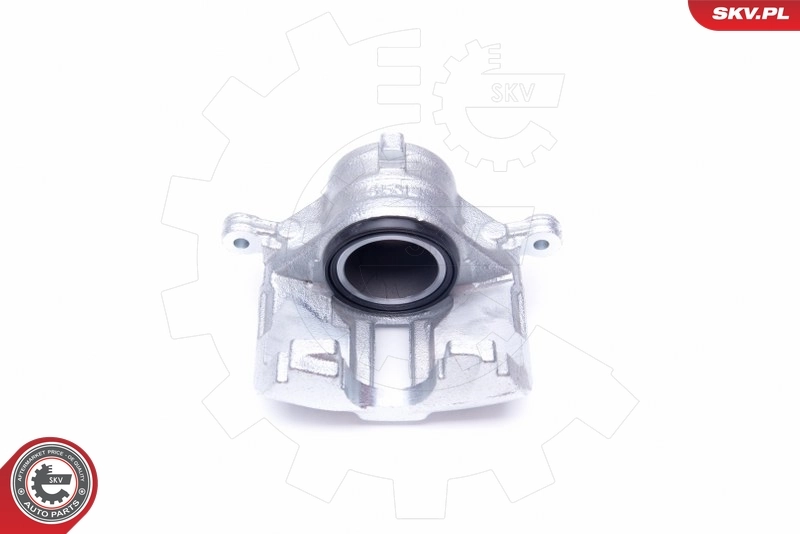 Brake Caliper 42SKV801