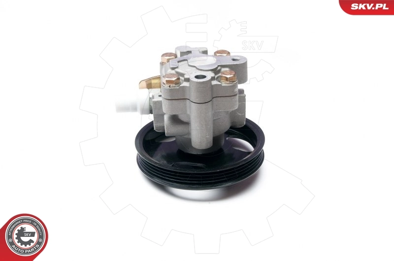 Hydraulic Pump, steering 10SKV228