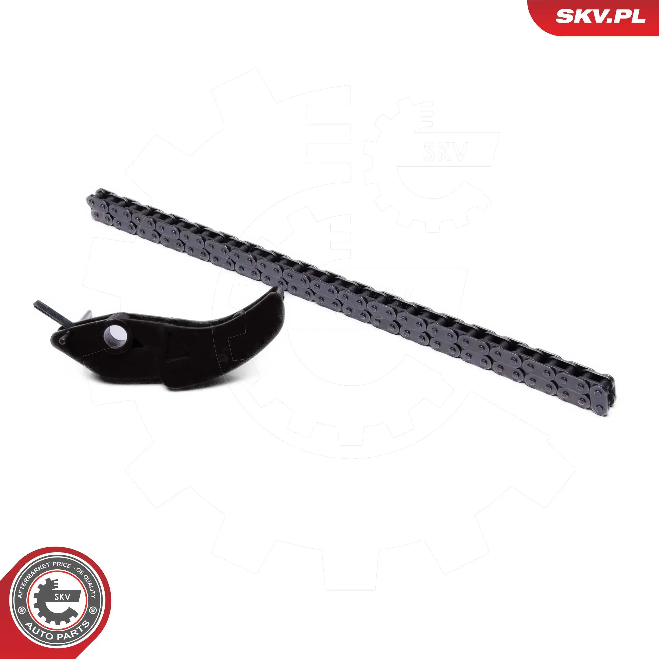 Timing Chain Kit 21SKV252