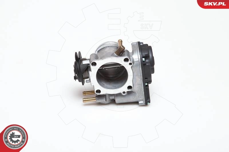 Throttle Body 12SKV010