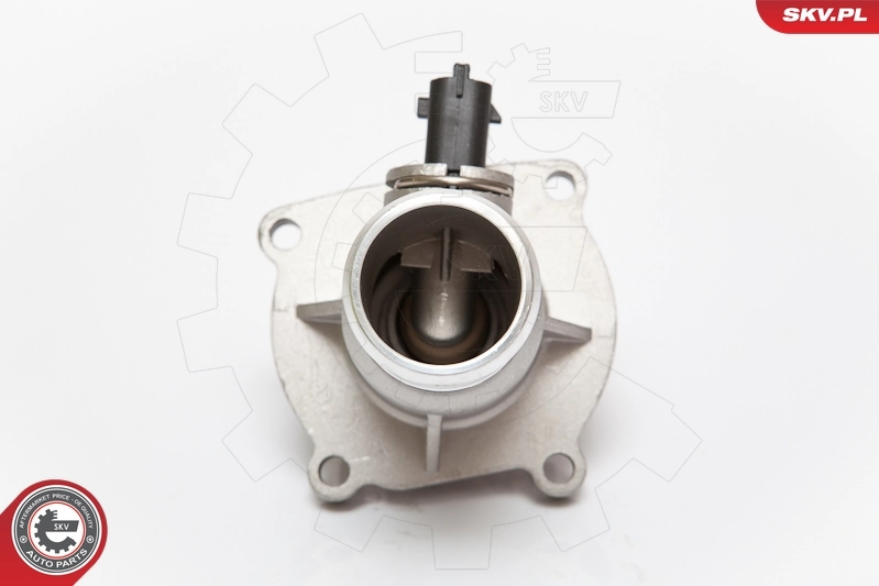 Thermostat, coolant 20SKV008