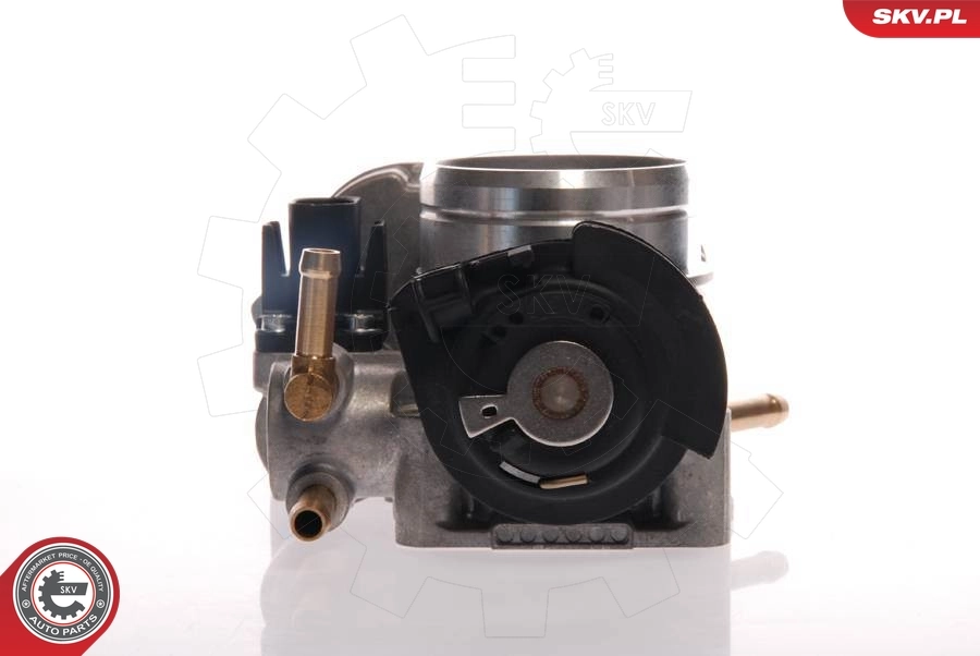 Throttle Body 12SKV020
