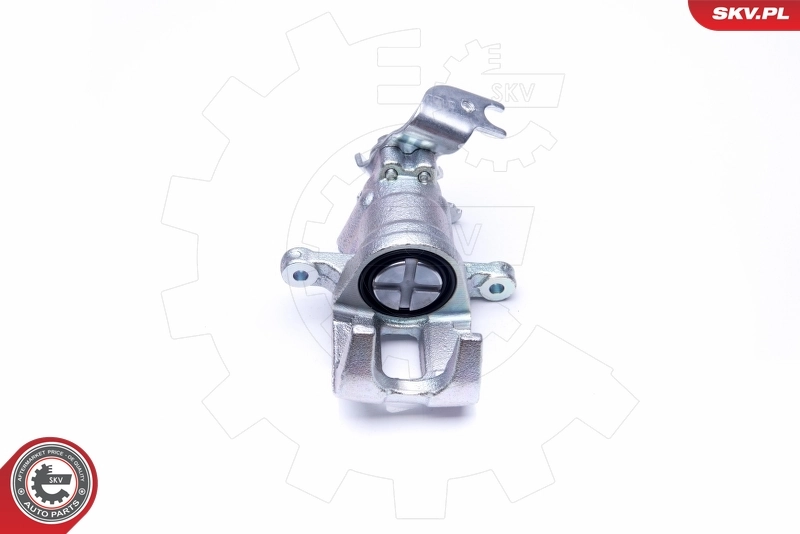 Brake Caliper 45SKV184