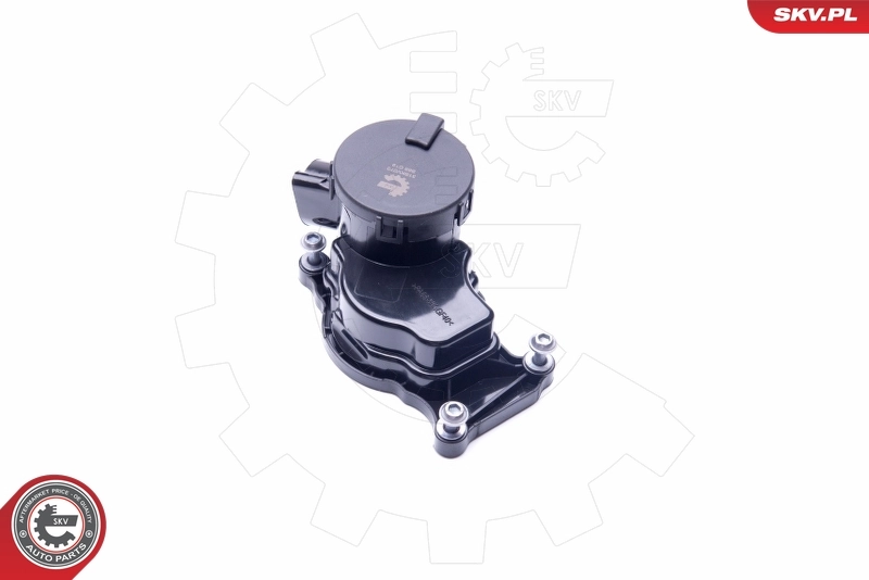 Valve, crankcase ventilation 31SKV070