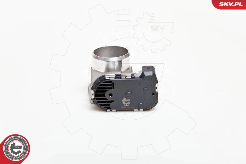 Throttle Body 12SKV039