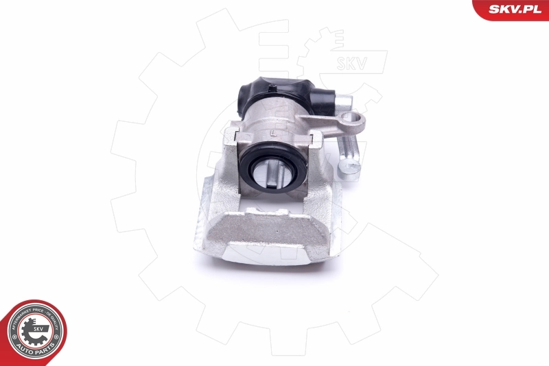 Brake Caliper 42SKV103