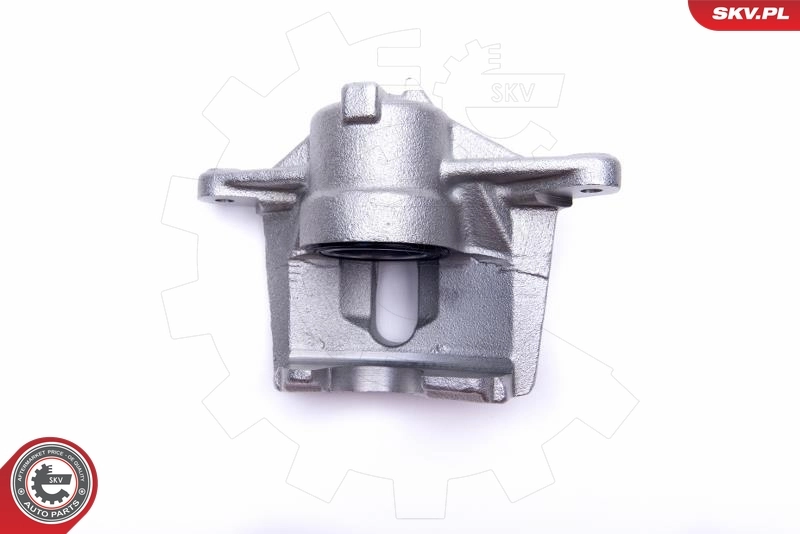 Brake Caliper 56SKV002