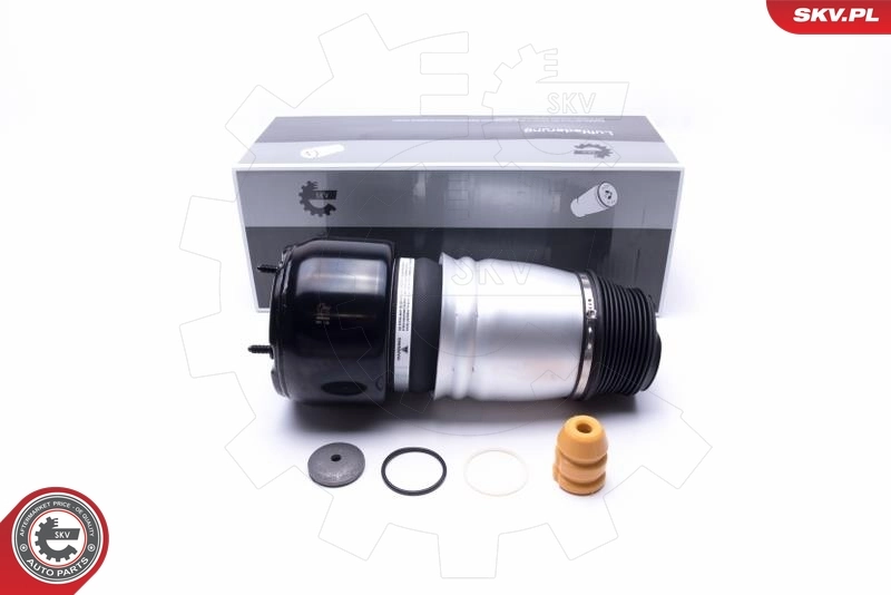 Air Suspension Strut 58SKV064