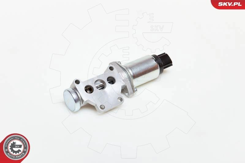 ESEN SKV 08SKV218 Idle Control Valve, air supply