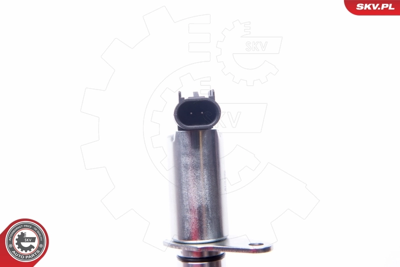 Control Valve, camshaft adjustment 39SKV037