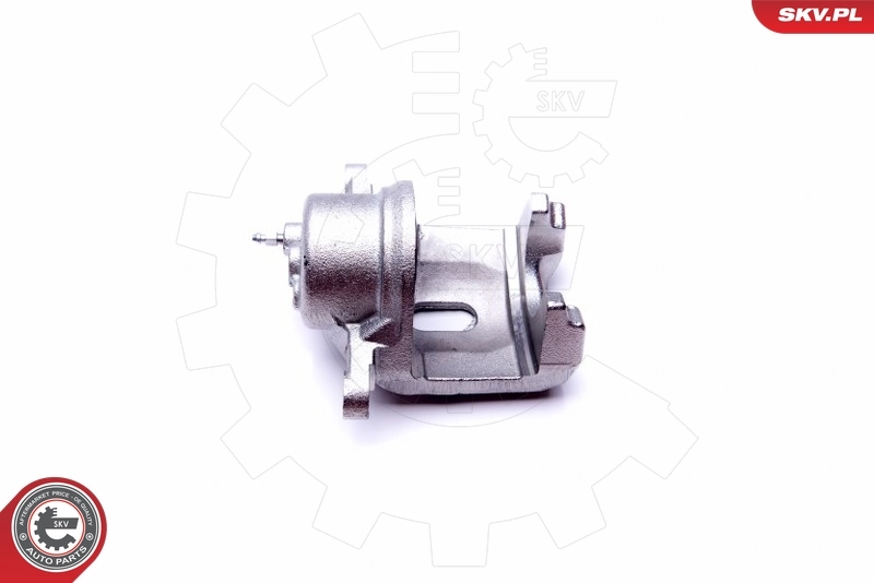 Brake Caliper 45SKV712