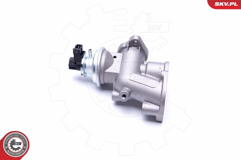 EGR Valve 14SKV181