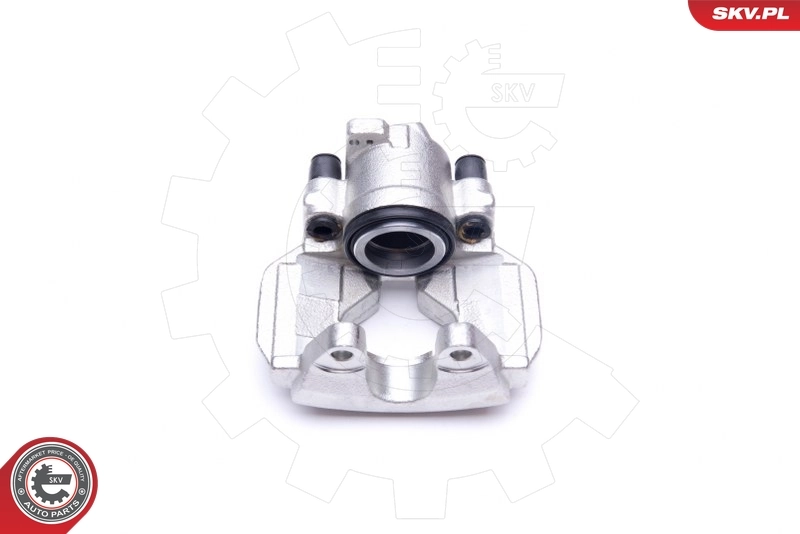 Brake Caliper 42SKV271