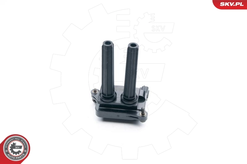 Ignition Coil 03SKV250