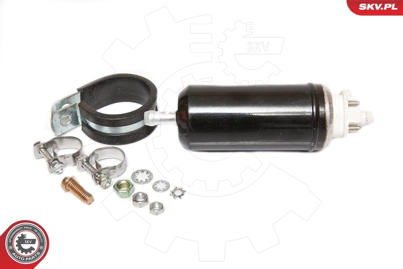 Fuel Pump 02SKV023