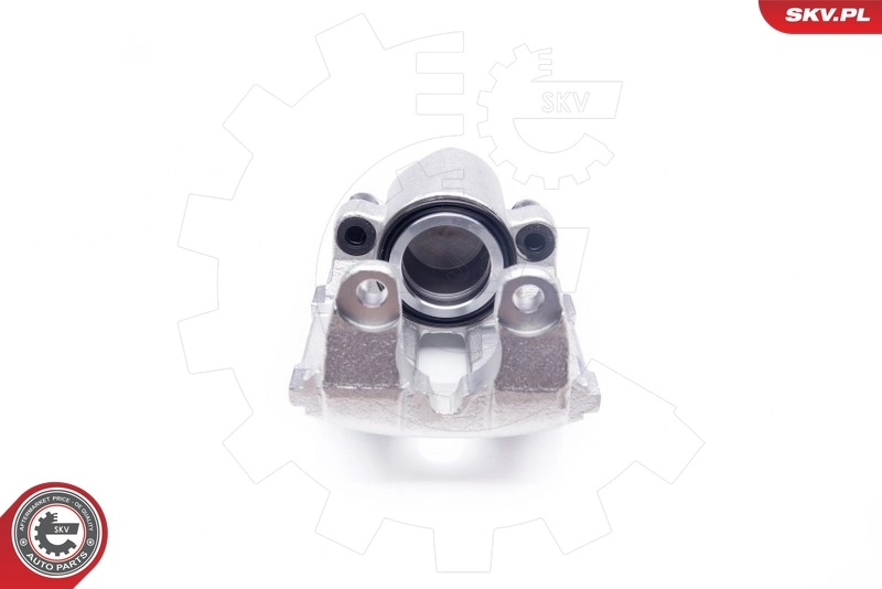 Brake Caliper 23SKV862