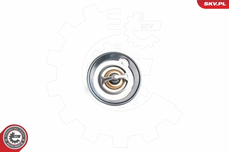 ESEN SKV 20SKV043 Thermostat, coolant