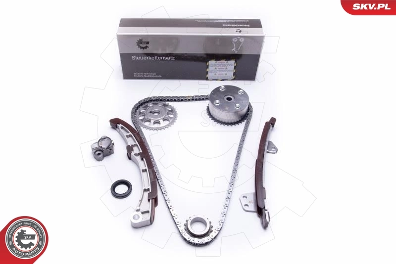 Timing Chain Kit 21SKV185