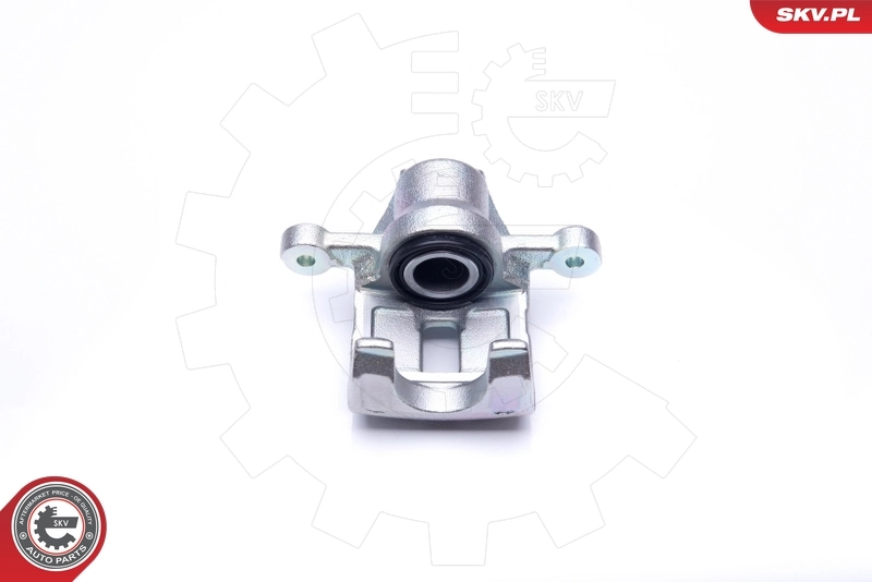 Brake Caliper 45SKV194