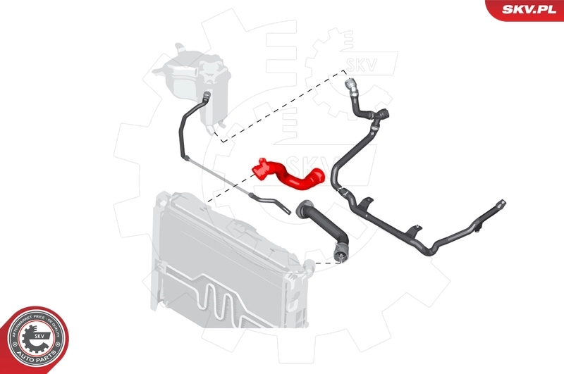 Radiator Hose 24SKV248